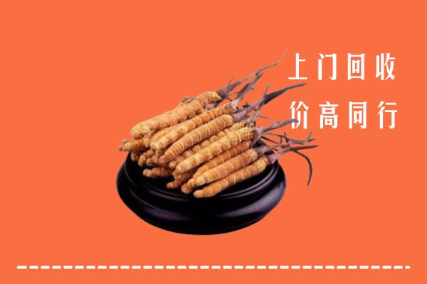 高价求购：中山回收散虫草