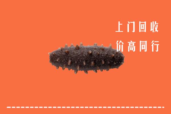 高价求购：中山回收海参