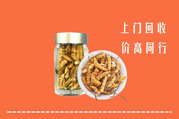 中山回收冬虫夏草