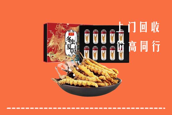 中山回收虫草